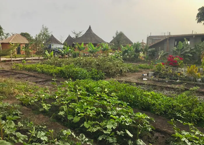 Alhasia Ecoville Jambur Gambia