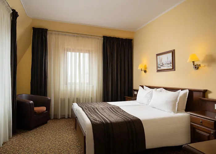 Hotel Leul De Aur