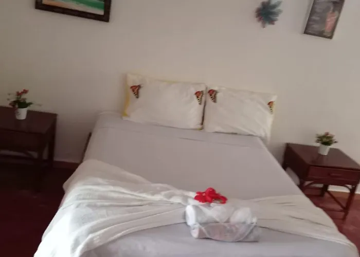 El Jardin Del Coco Triple