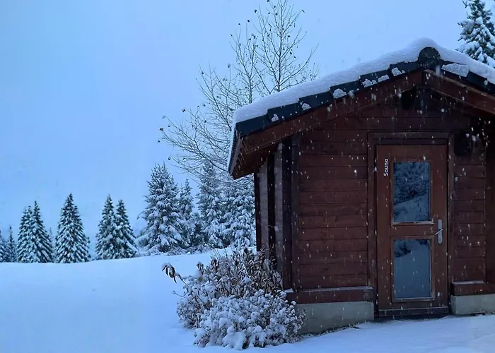 Boutique Hotel Art De Vivre & Spa Crans-Montana