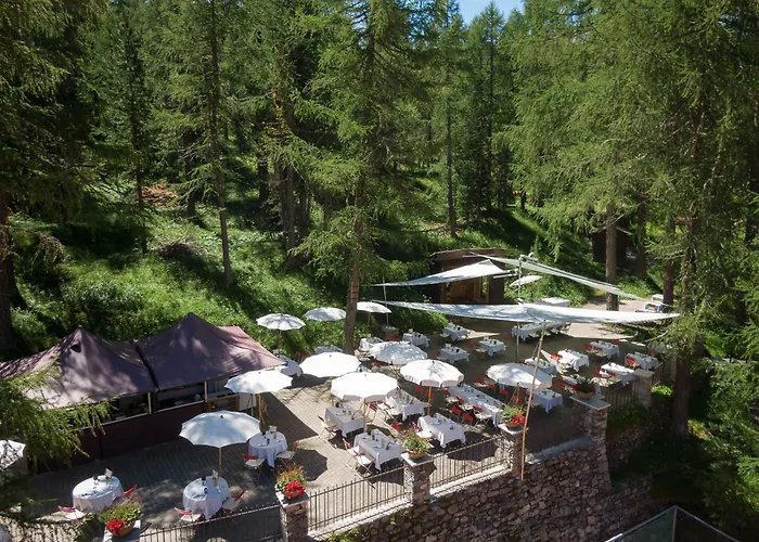 Hotel Waldhaus