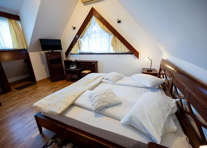 Pension Brasovu Vechi