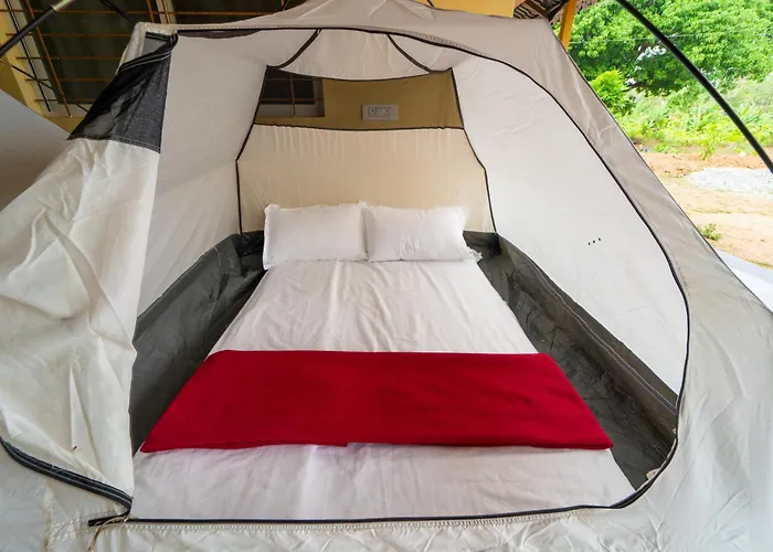 Dandeli Serene Jungle Resort