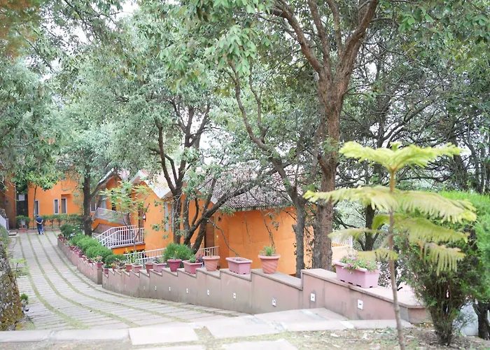 Essence Of Nature, Ranikhet