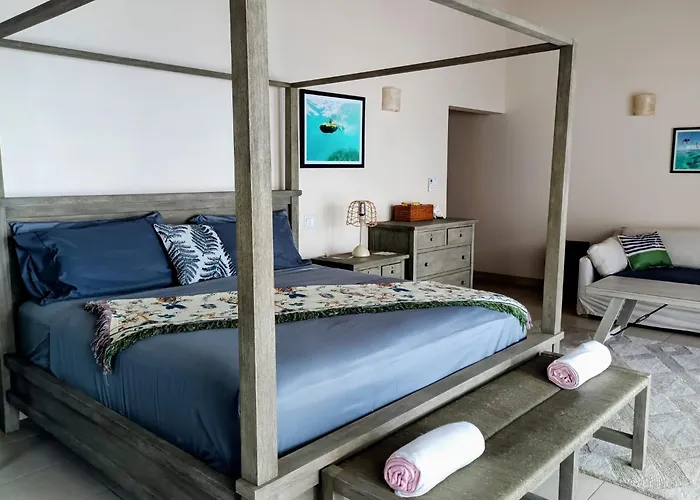 Turtle Cove House By Le Haus