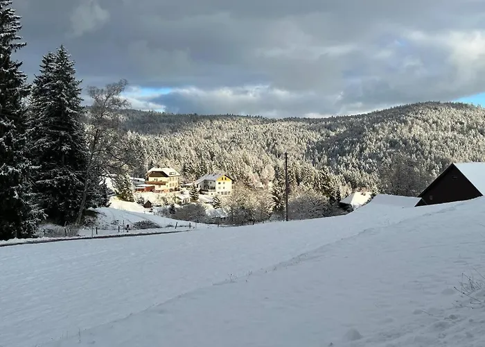 Boutique Hotel & Apartments Pension Sternen