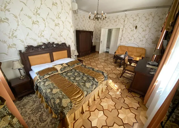 Hotel Palac Borynia