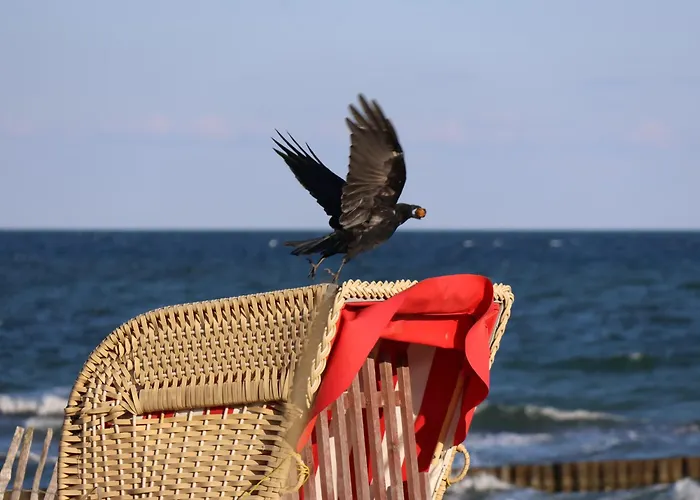 Fairschlafen Boutique Hostel Etagenbett Kombüse 0-06, Sauna, Fitness