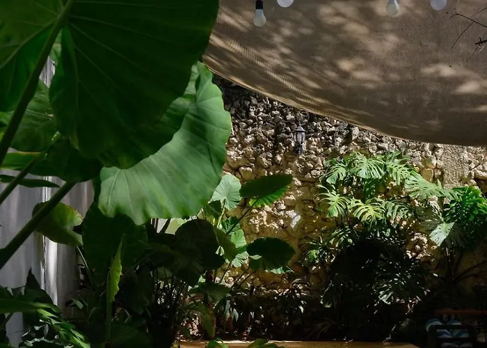 Hotel & Hostal Boutique Casa Garza