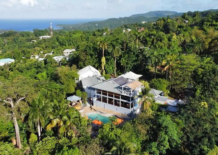 LF Jungle Retreat