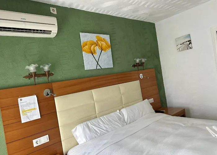 Hotel Nou Roser