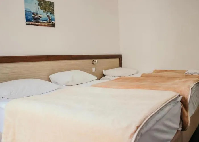 Hotel Villa Matic