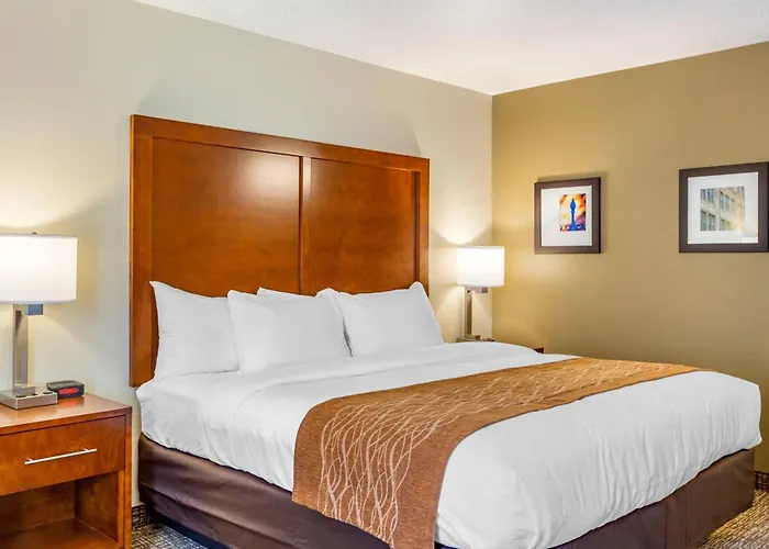 Comfort Inn Dekalb - University Area