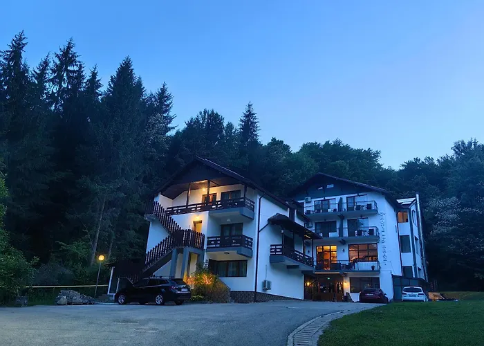 Hotel Trei Brazi