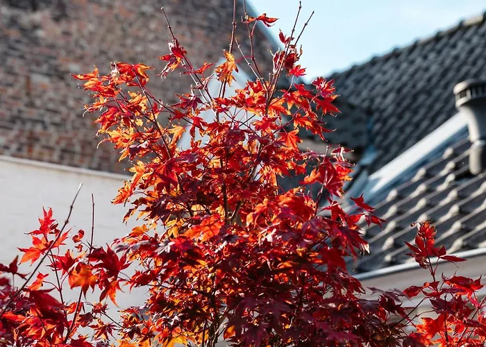 Zenden Hotel Maastricht