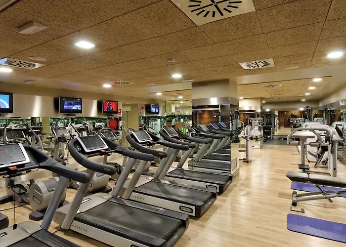 Melia Avenida America