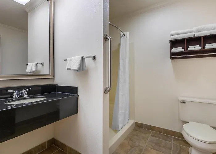 Best Western Davison Inn