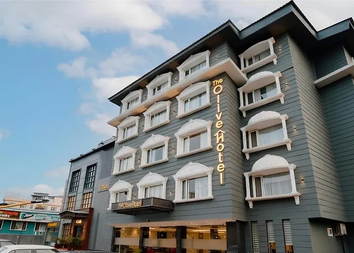 The Olive Hotel Srinagar