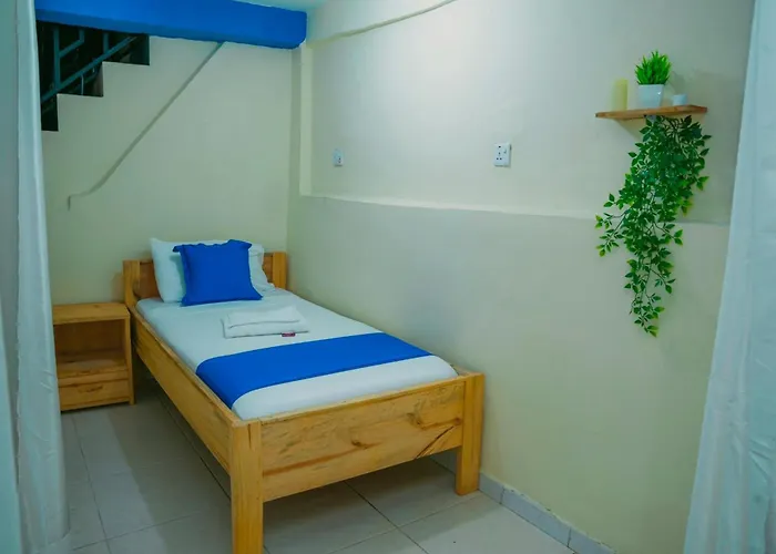 Golden Nap Hostel