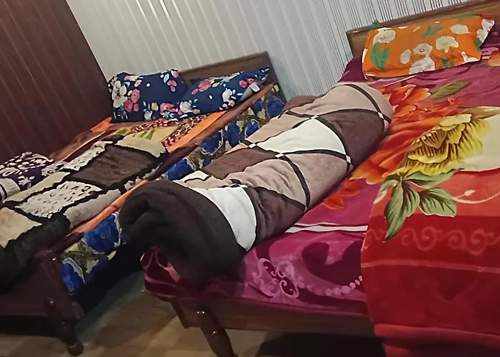 Himalayan Siddhi Yog Aashram