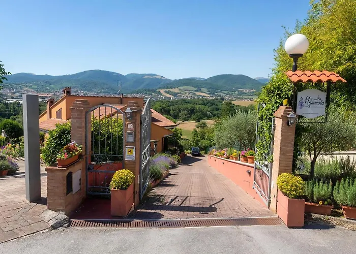 La Mammola Bed&Breakfast
