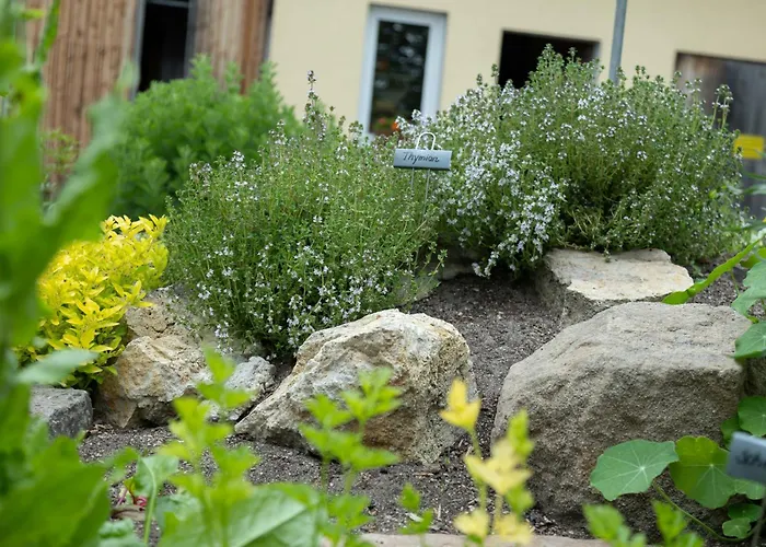 Landgasthof Zur Tanne
