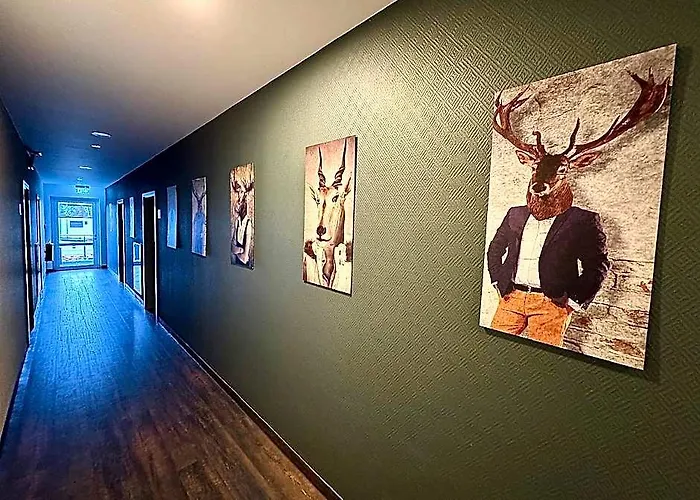 Komfortable Apartments