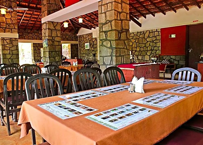 Bison River Resort
