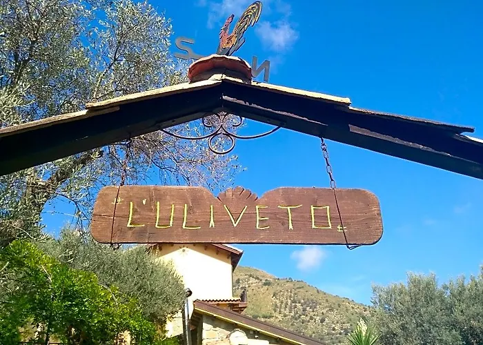 Agriturismo L'Uliveto