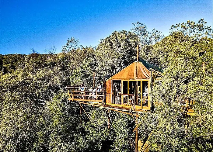 Teniqua Treetops