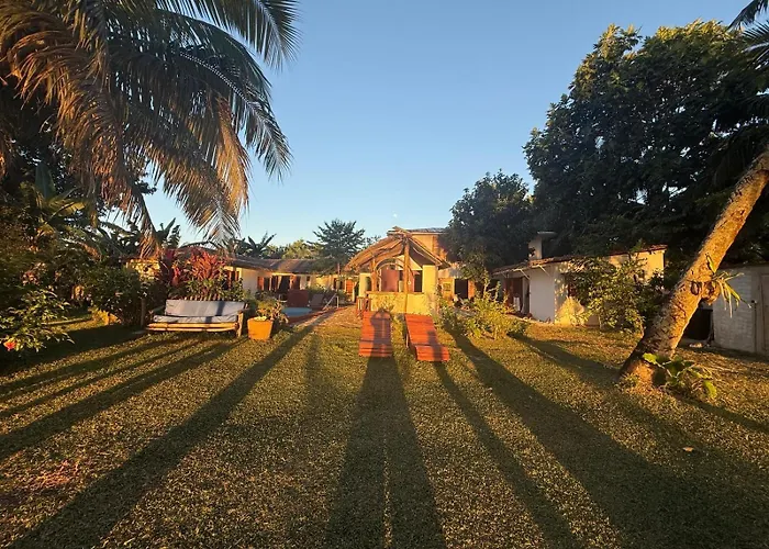 Chez L'Avocatier