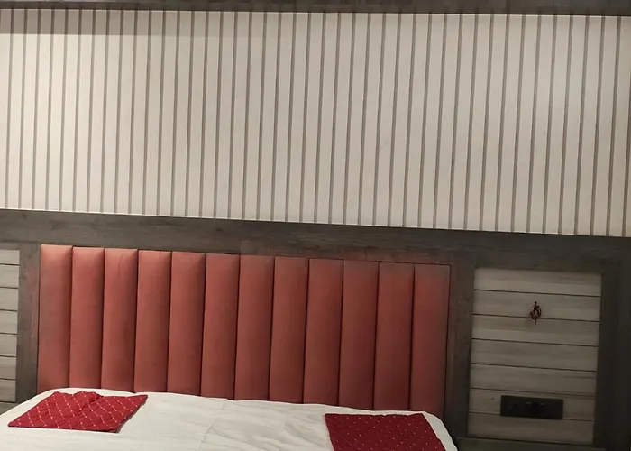 Hotel Bindu