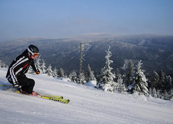 AHORN Harz Hotel Braunlage