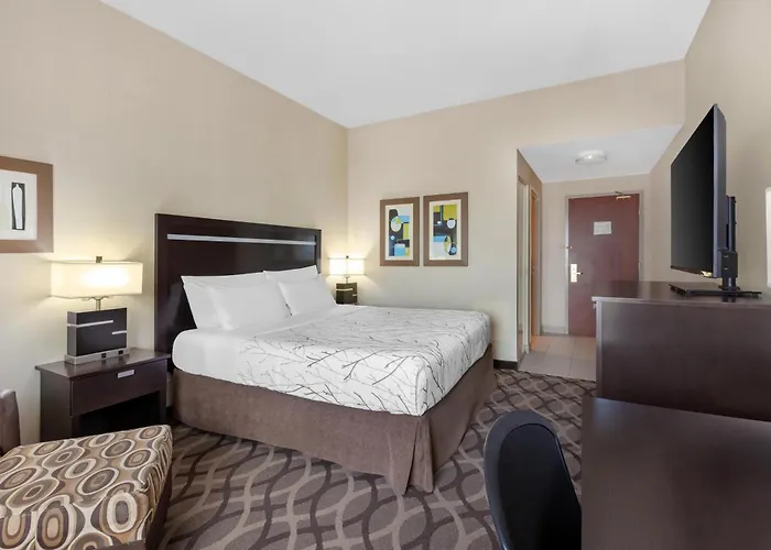 Best Western Plus Travel Hotel Toronto Airport