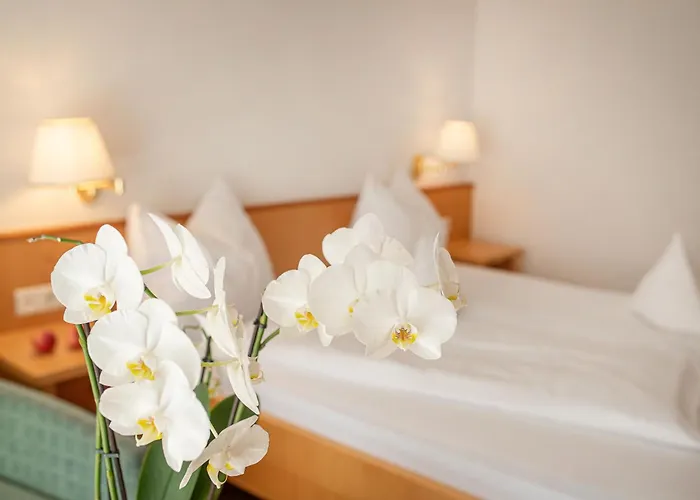Hotel Julius Payer