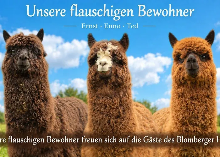 Appartementhotel Blomberger Hof