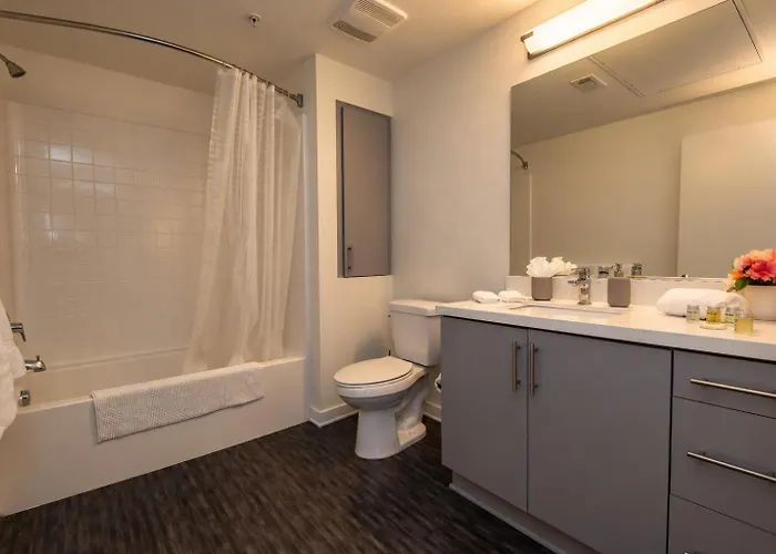 Modern Apartment Rentals