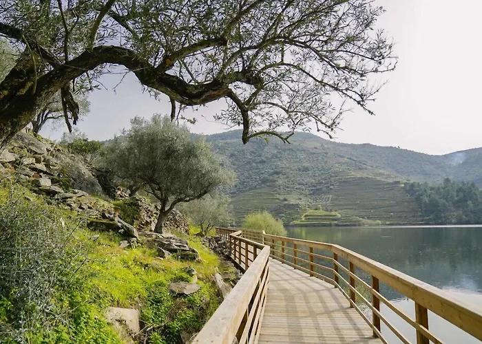 Casa Dona Edite Guesthouse Douro