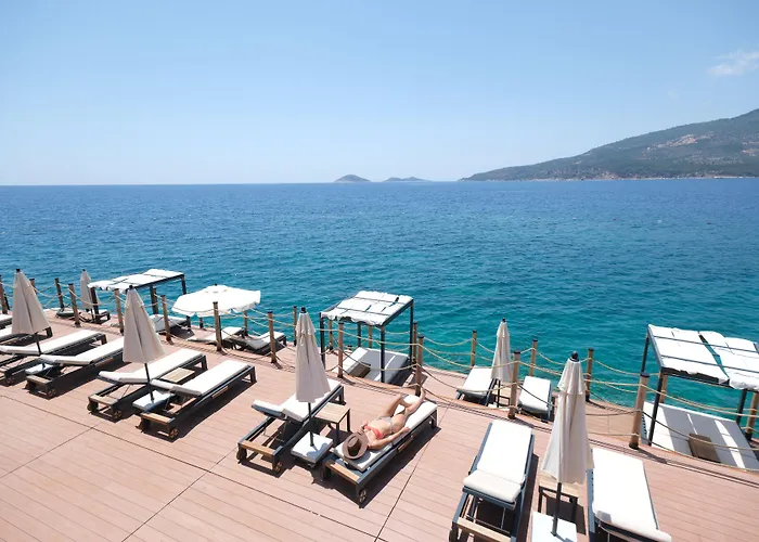 Lures Hotel