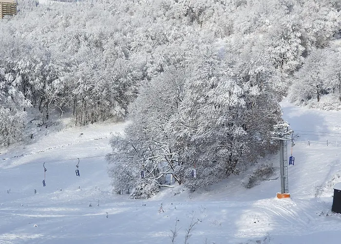 Hotel Schneiderhof