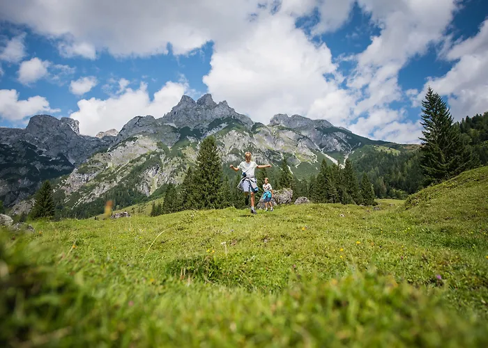 Apart Hotel Alpenhof Werfenweng