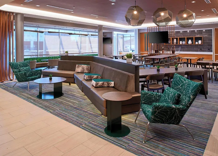 Springhill Suites By Marriott East Lansing University Area, Lansing Area