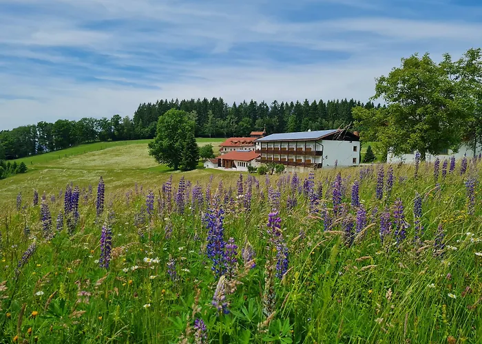 Osserhotel Garni