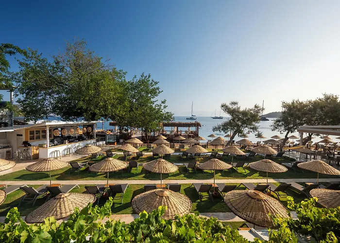 Daphnis Hotel