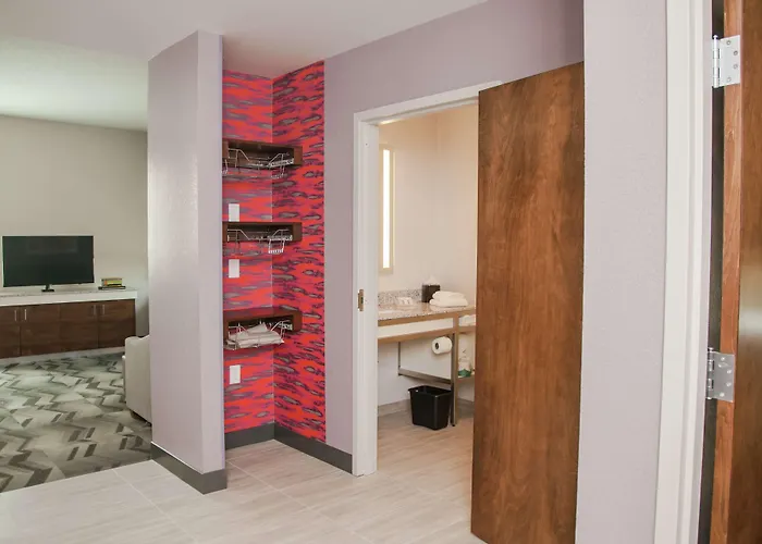 Hilton Garden Inn Tampa Suncoast Parkway