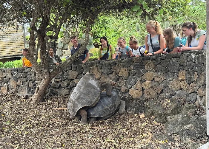 Galapagos Dreams