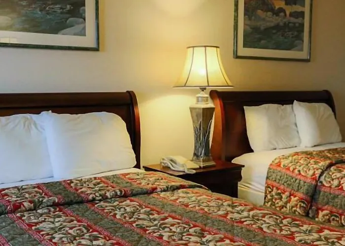 Great Value Inn Houston/Galleria