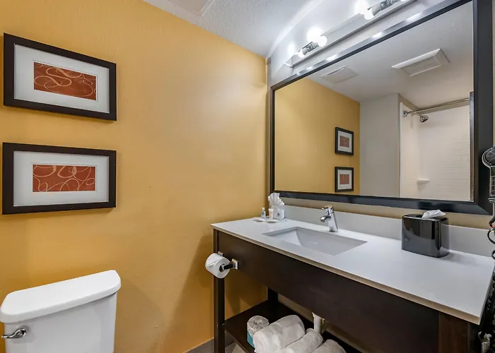 Comfort Suites Fort Lauderdale Airport South & Cruise Port