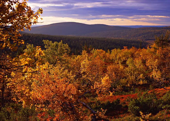 Lapland Hotels Saaga Yllasjarvi