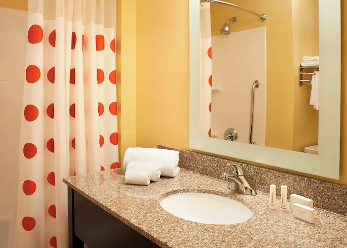 Towneplace Suites By Marriott Saginaw